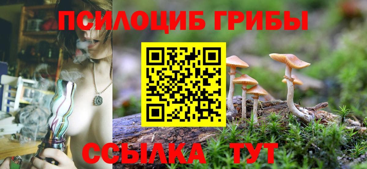 Лениногорск  Псилоцибиновые грибы Psilocybe  Вход с VPN  Галлюциногенные грибы GOLDEN TEACHER 